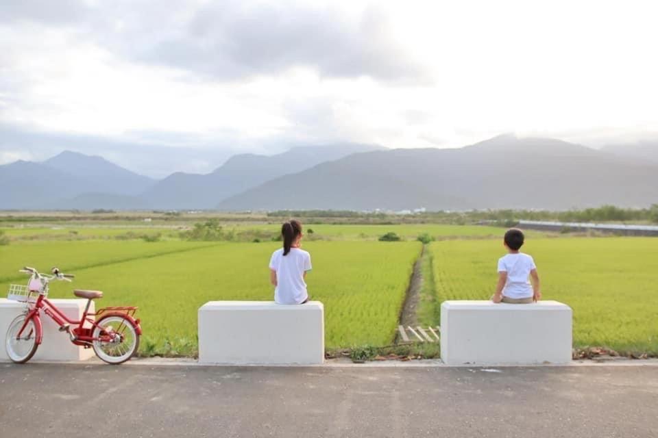 Pu Shi Homestay Yuli Bagian luar foto