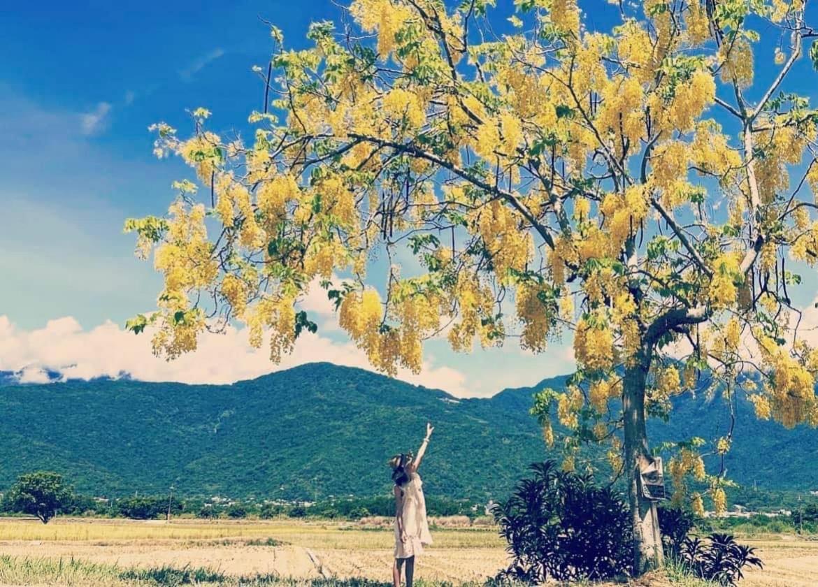 Pu Shi Homestay Yuli Bagian luar foto
