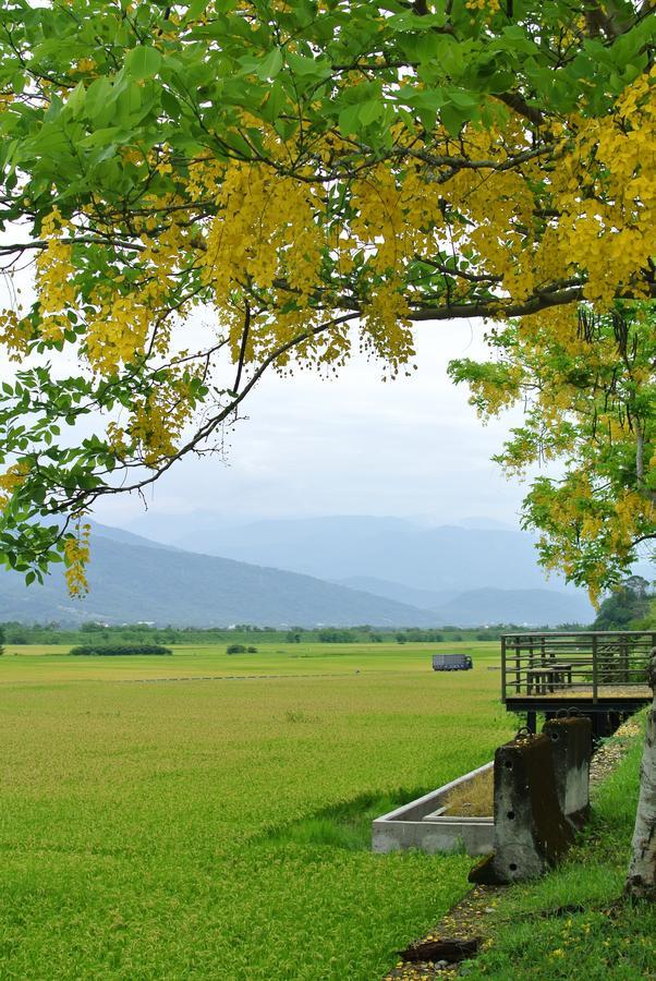 Pu Shi Homestay Yuli Bagian luar foto