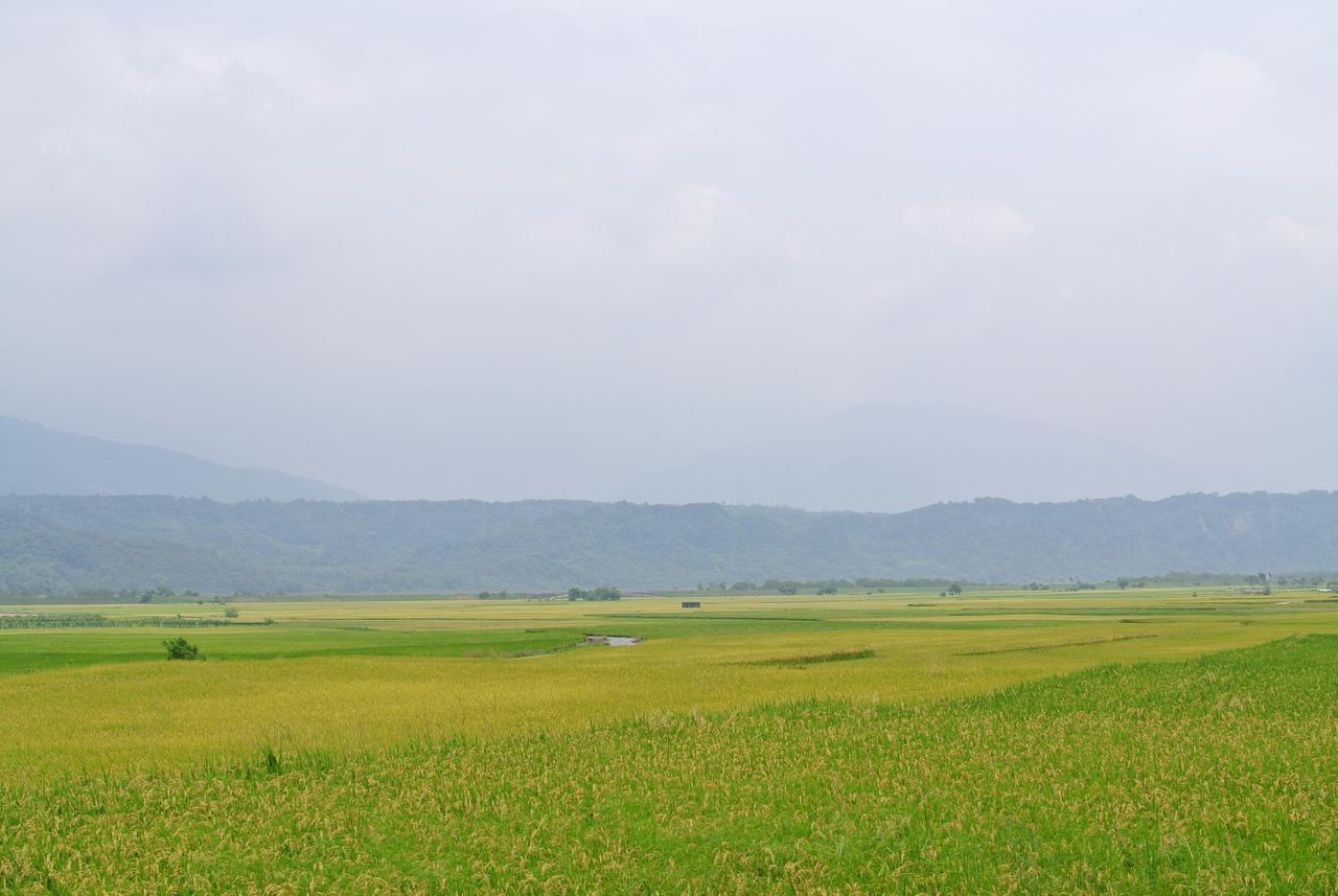 Pu Shi Homestay Yuli Bagian luar foto